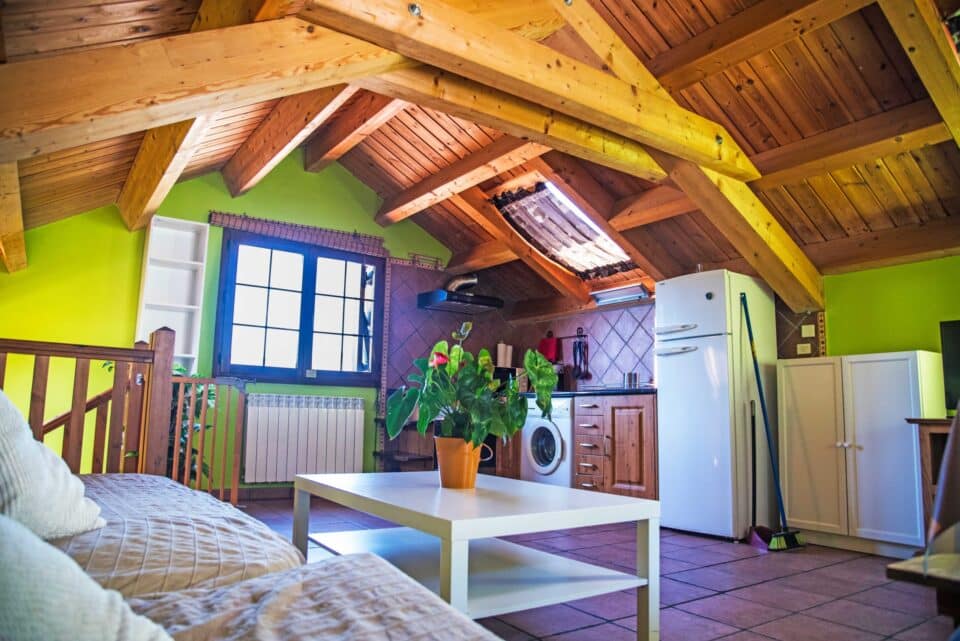 Casa Pirinea - Imagen 16