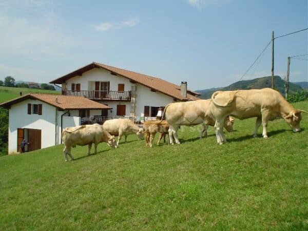 1. Casa rural en Bera (Navarra)-2805