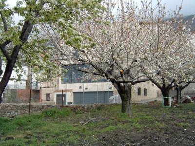 1. Casa rural en El Torno (Cáceres)-1631