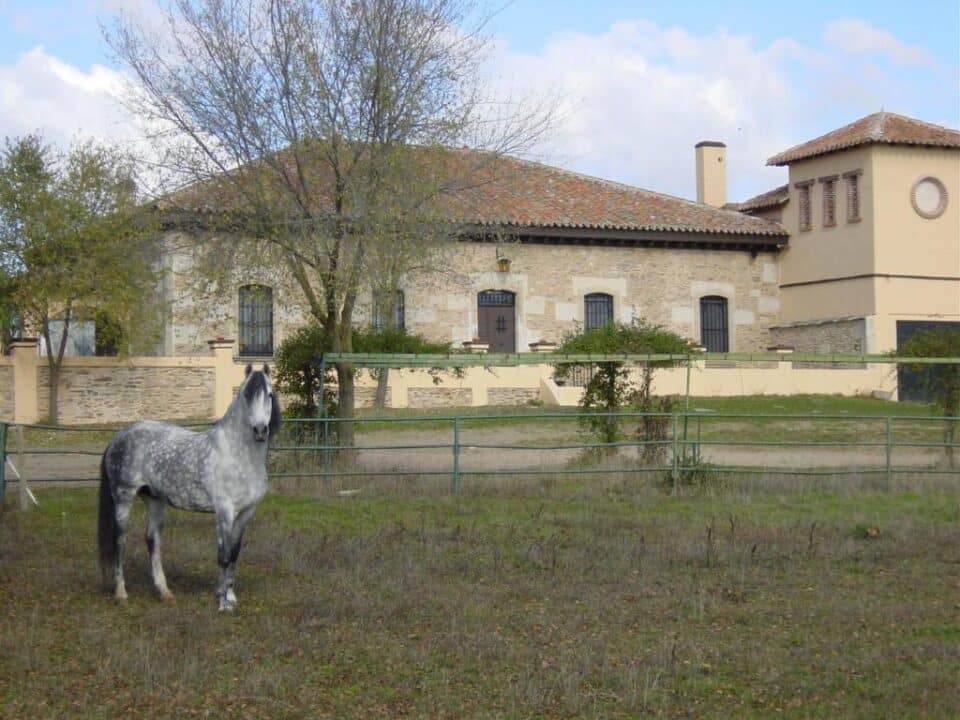 Casa Rural La Torrecilla - Imagen 45