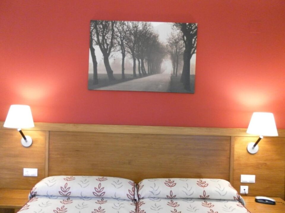 Hotel Milagros Rio Riaza - Imagen 8