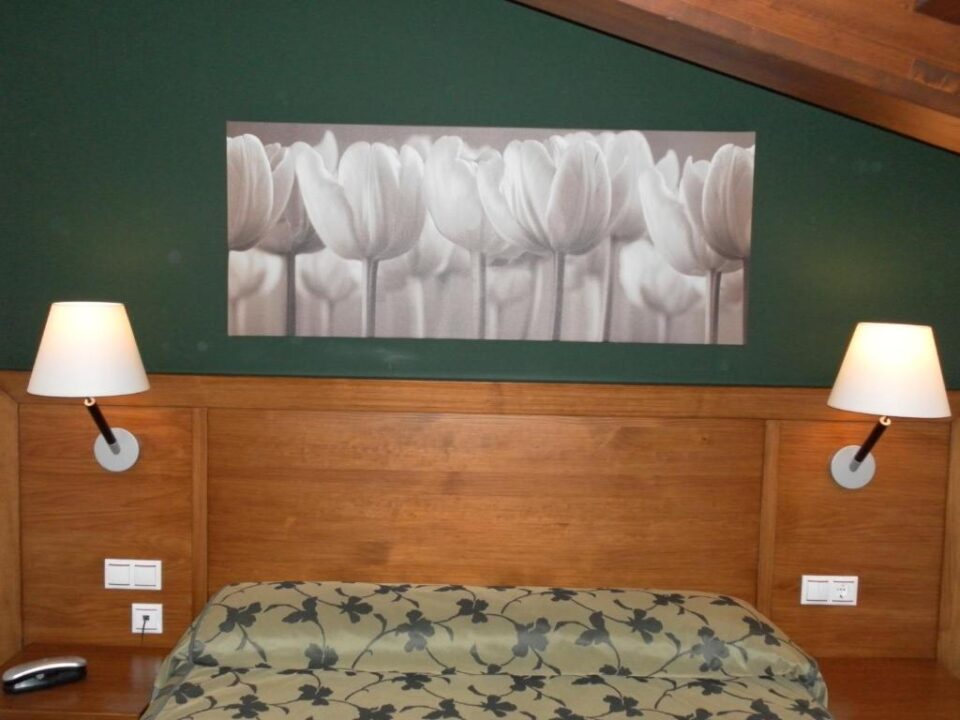 Hotel Milagros Rio Riaza - Imagen 9