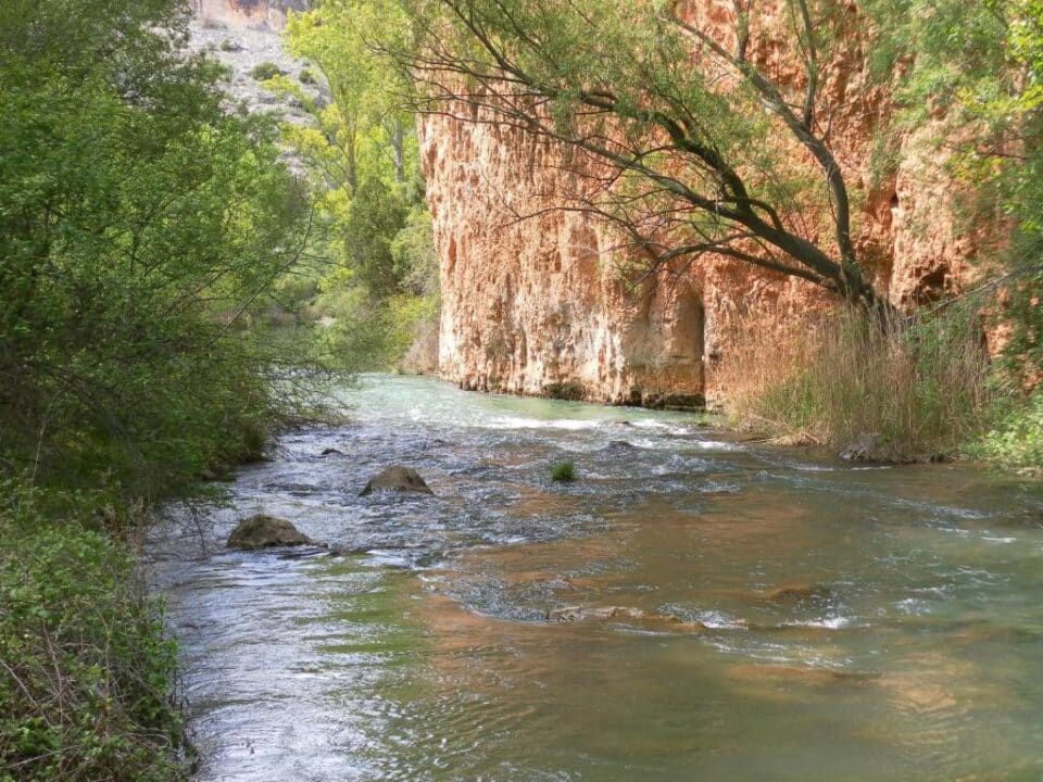 Hotel Milagros Rio Riaza - Imagen 15