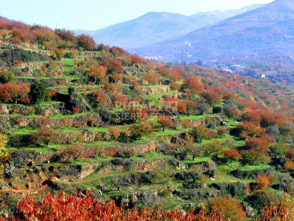 Fantástico Hotel Rural en pleno Valle del Jerte - Imagen 40