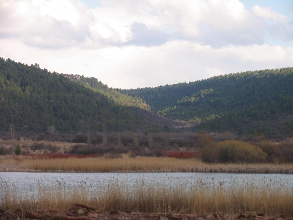 Cabañas Llano de Los Conejos - Imagen 17