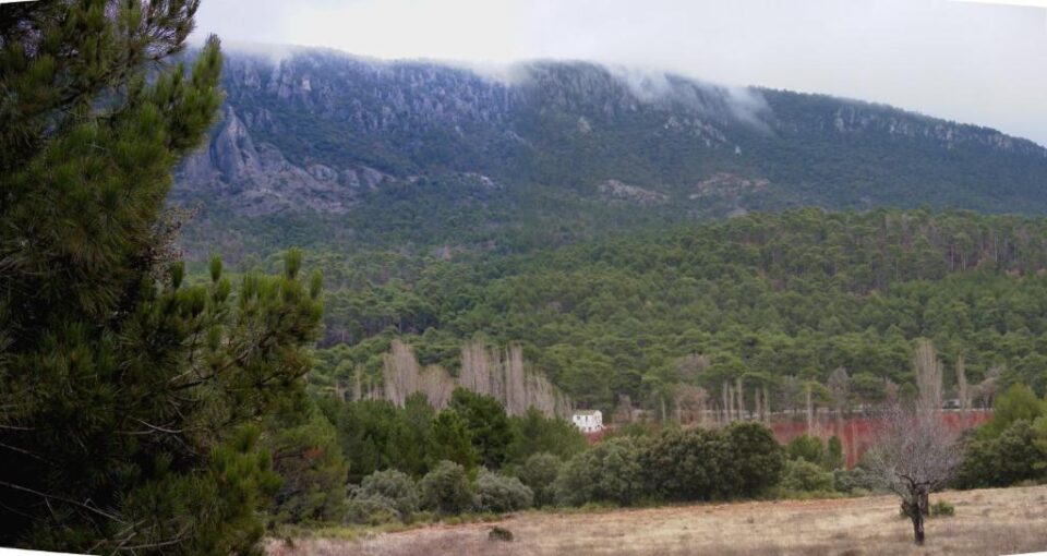 Cabañas Llano de Los Conejos - Imagen 19