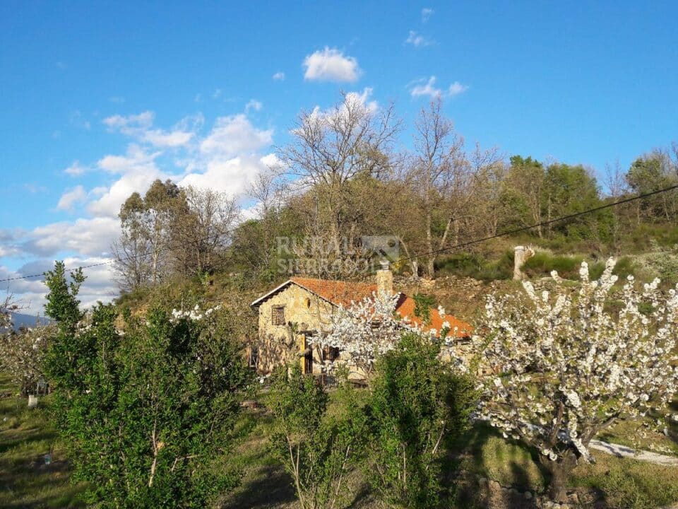 2. Casa rural en Navaconcejo (Cáceres)-3709