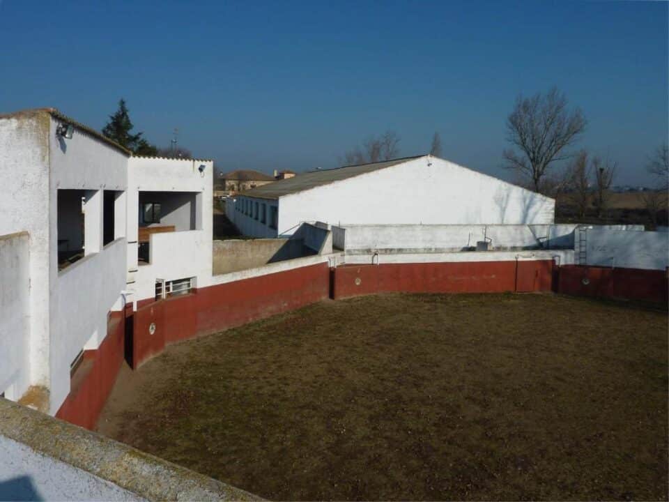 Casa Rural La Torrecilla - Imagen 39