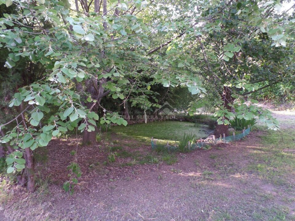 Magnífica Casa Rural en pleno Valle del Jerte, con piscina y aire acondicionado - Imagen 40