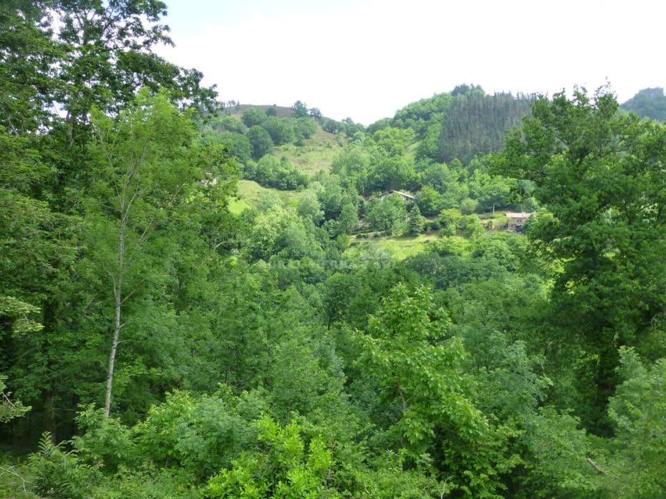 Gorostipaleko Borda - Imagen 34