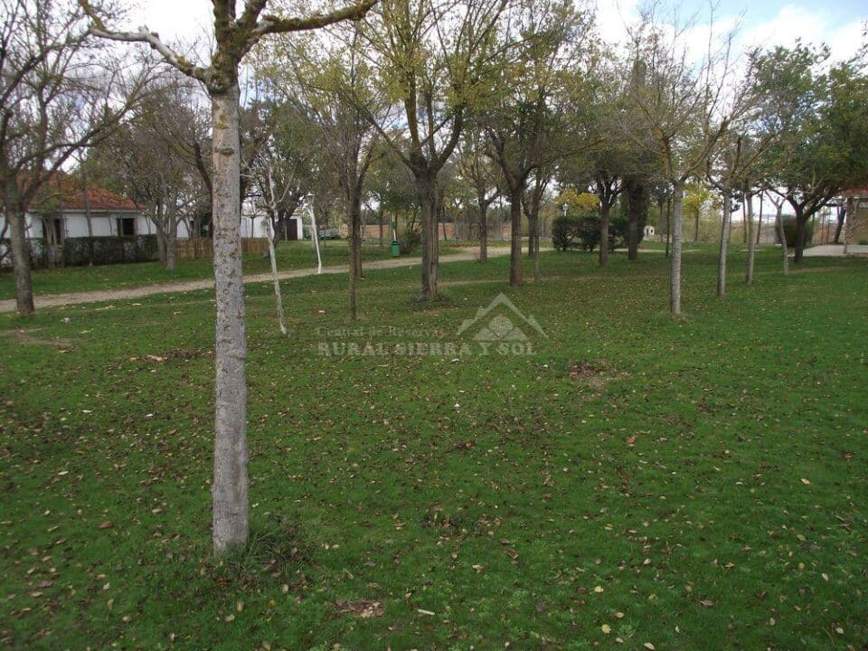 Camping Cubillas - Imagen 46
