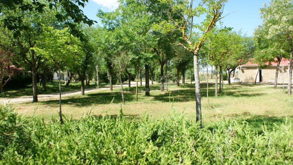 Camping Cubillas - Imagen 50