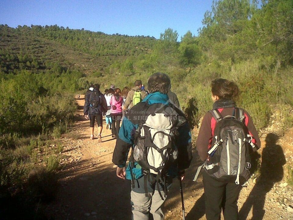 Ca la Laia - Imagen 13