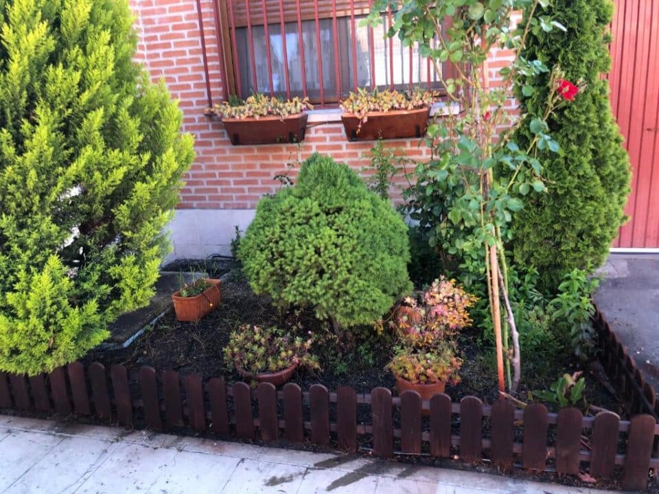La Olmedana - Imagen 27