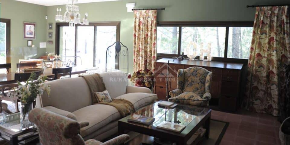 Hotel Boutique Pinar - Imagen 43