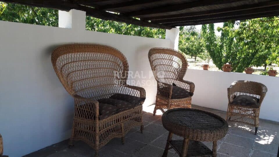 Acogedora Casa Rural en El Valle del Jerte, con piscina y barbacoa - Imagen 28