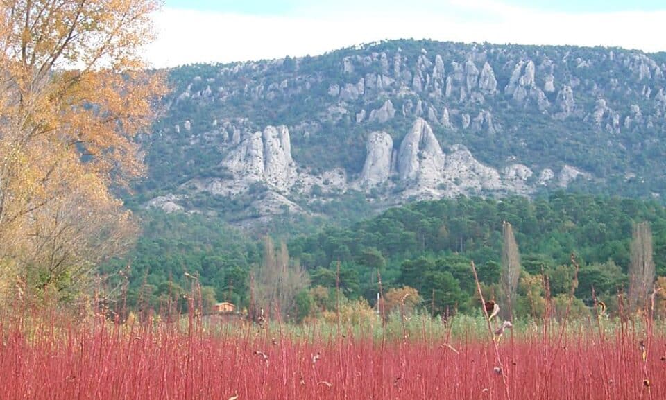 Cabañas Llano de Los Conejos - Imagen 3