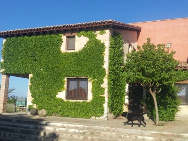 Casa rural en Ciruelos de Cervera (Burgos)-2283