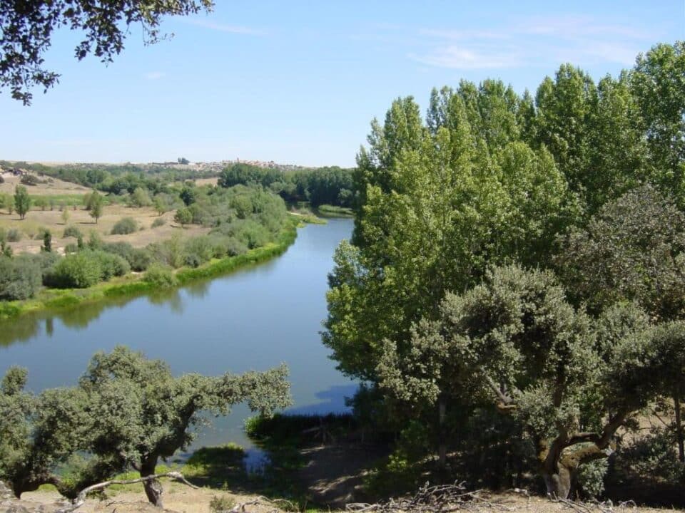 Casa Rural La Torrecilla - Imagen 40
