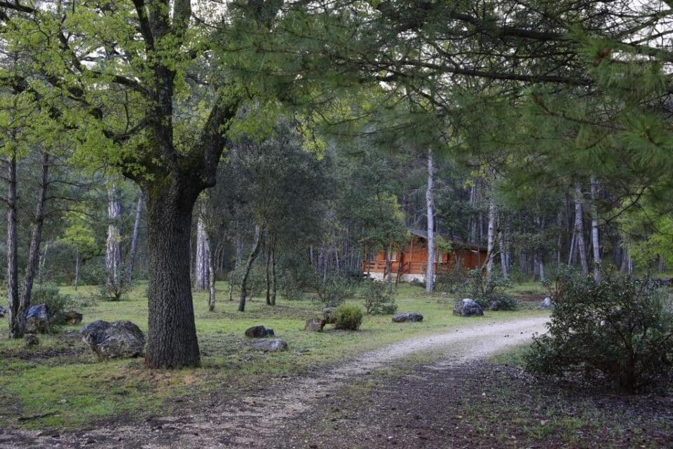 Cabañas Llano de Los Conejos - Imagen 29