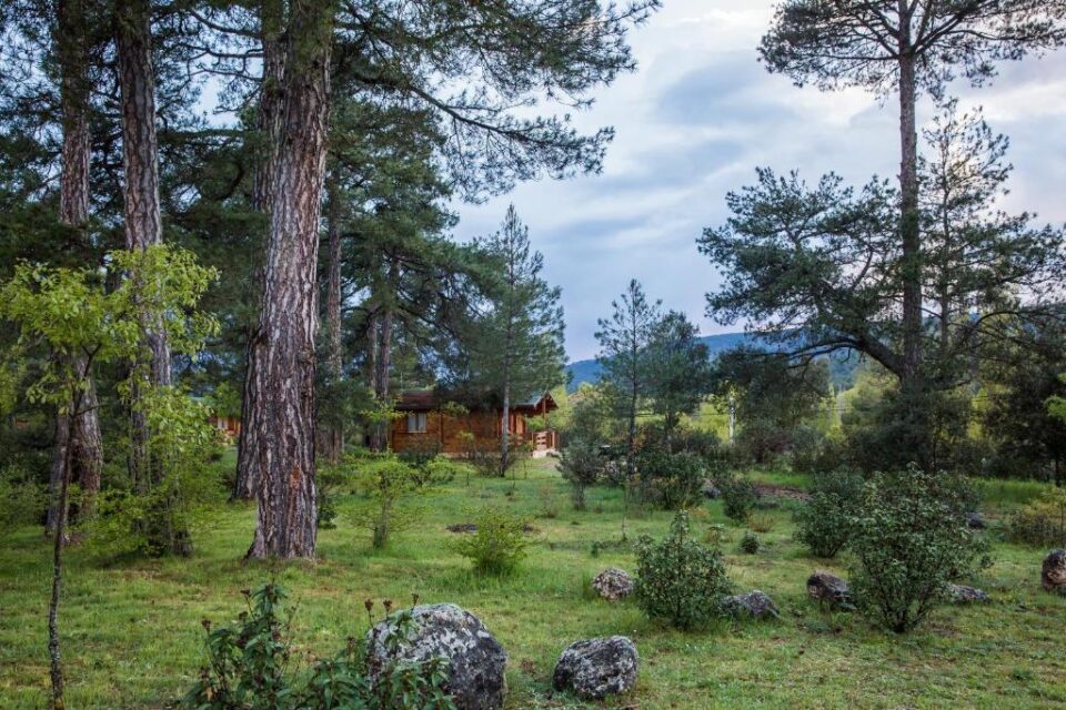 Cabañas Llano de Los Conejos - Imagen 31