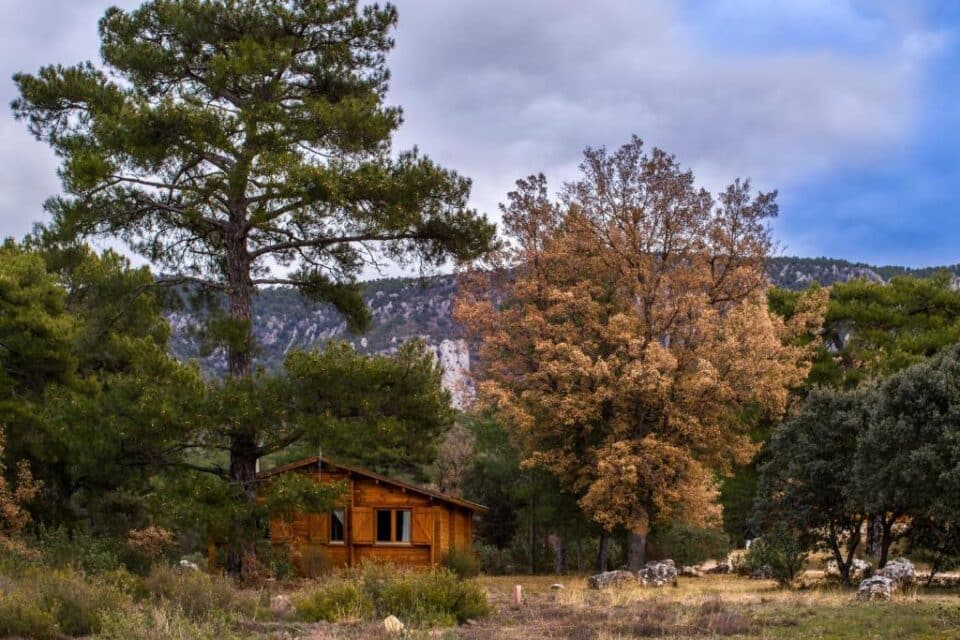 Cabañas Llano de Los Conejos - Imagen 32