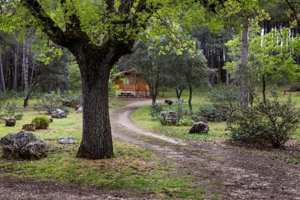 Cabañas Llano de Los Conejos - Imagen 33