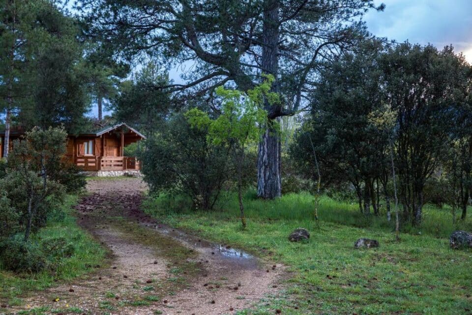 Cabañas Llano de Los Conejos - Imagen 42