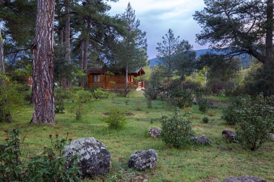 Cabañas Llano de Los Conejos - Imagen 43