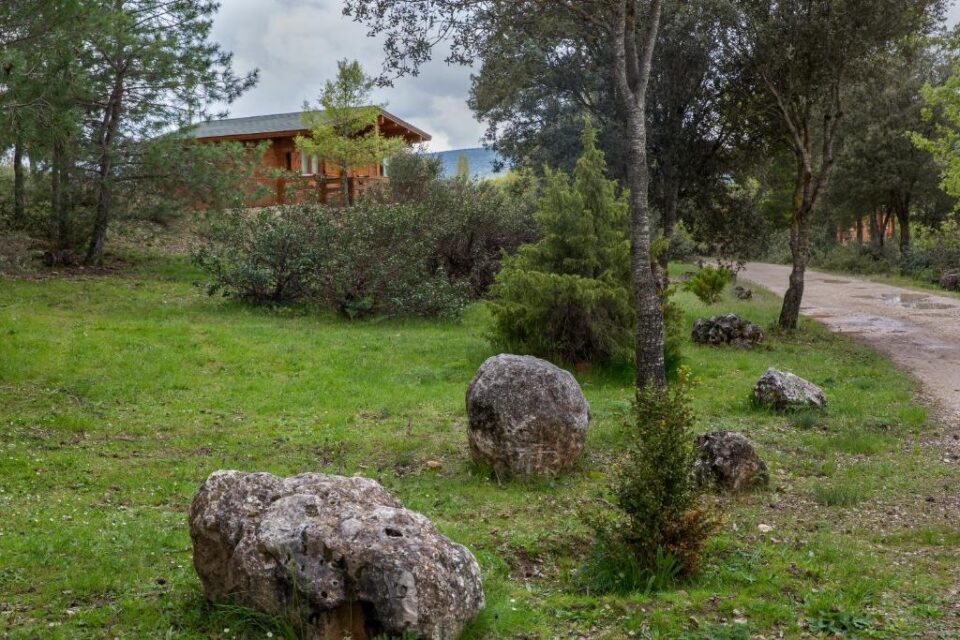 Cabañas Llano de Los Conejos - Imagen 44