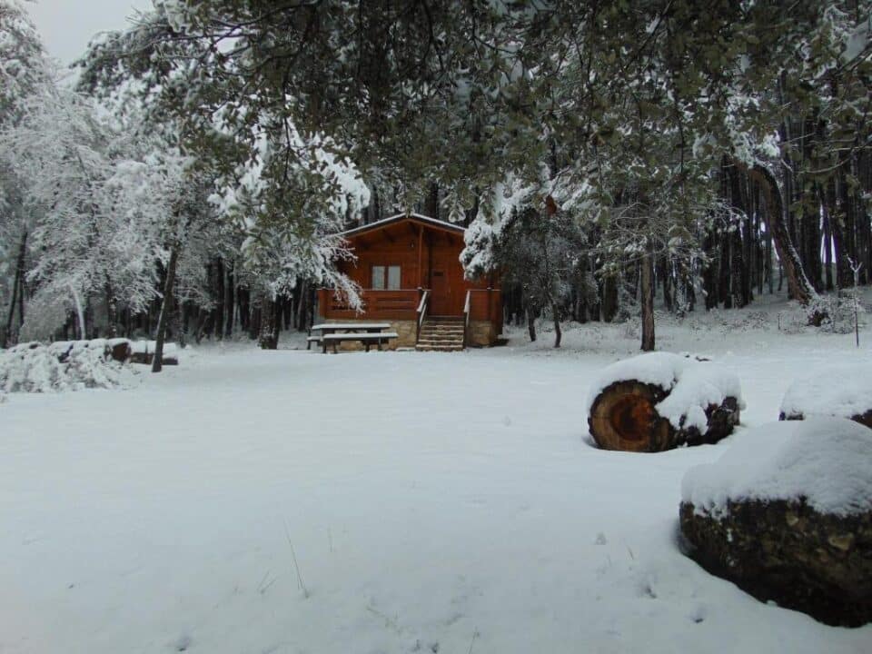 Cabañas Llano de Los Conejos - Imagen 45