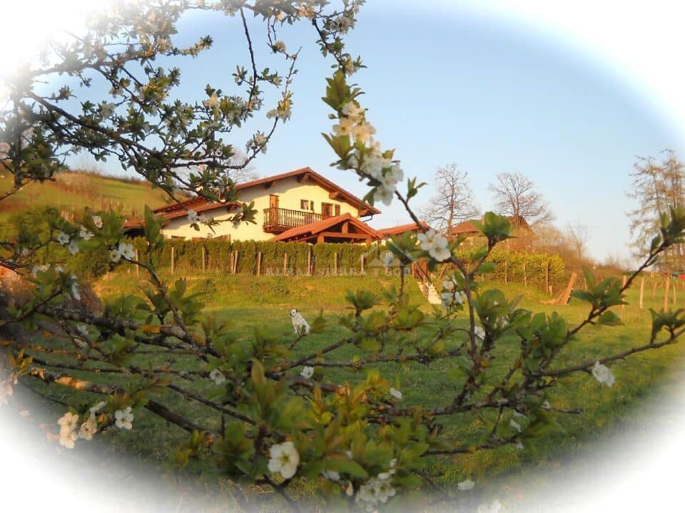 Casa Rural Lizartzanea - Imagen 40
