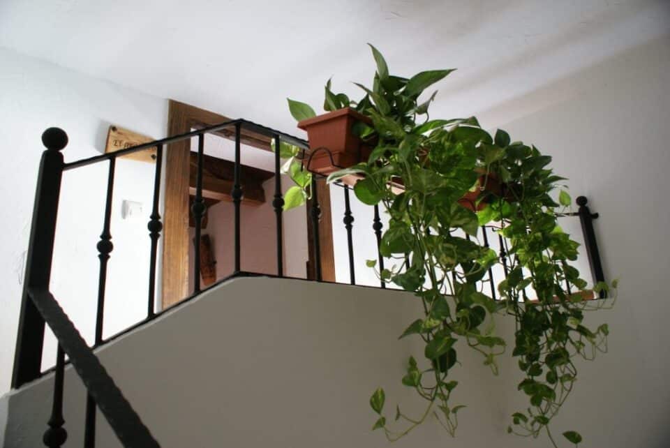 Casa Rural Tio Emilio - Imagen 8