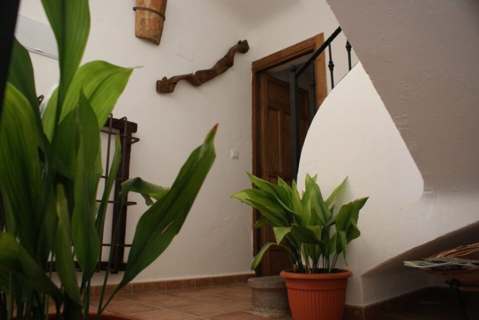 Casa Rural Tio Emilio - Imagen 12