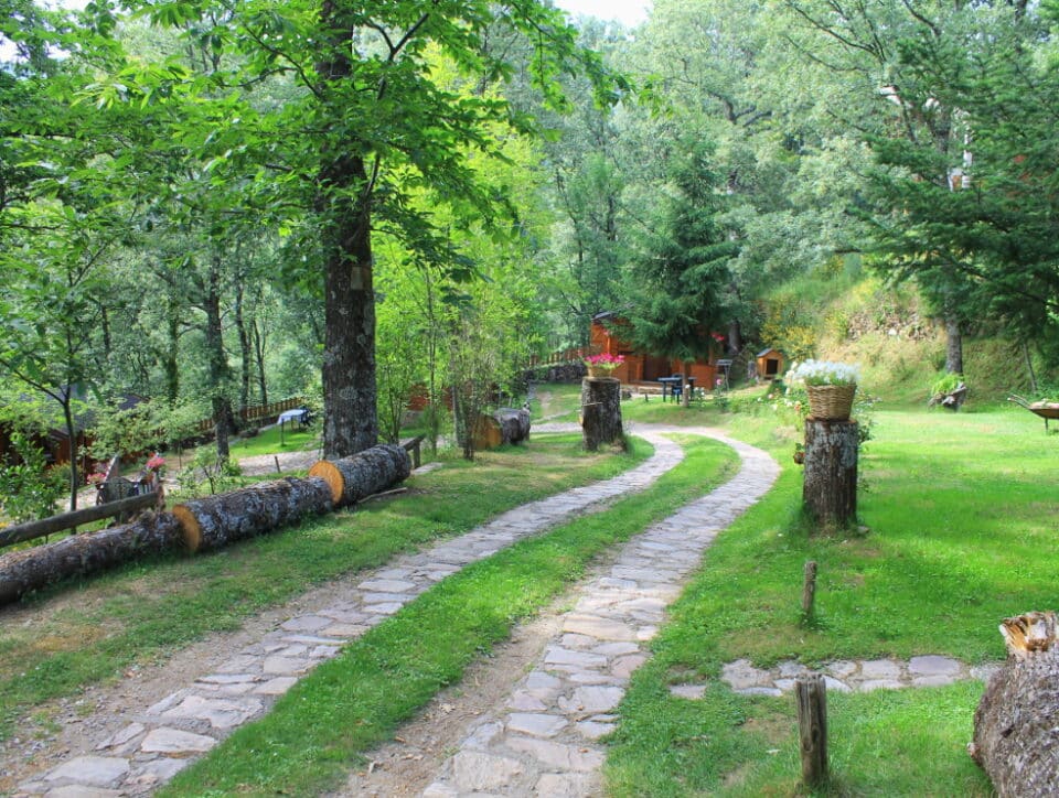 Cabañas de Madera Sanabria - Imagen 26