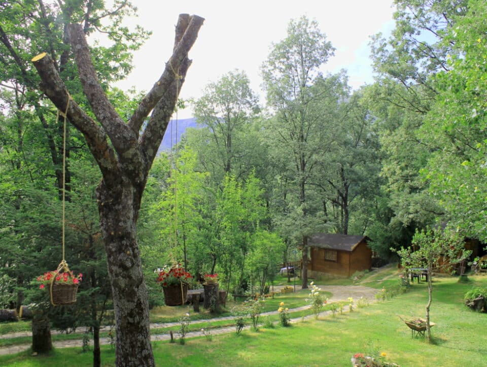 Cabañas de Madera Sanabria - Imagen 28
