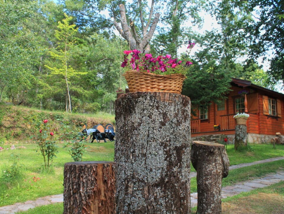 Cabañas de Madera Sanabria - Imagen 30