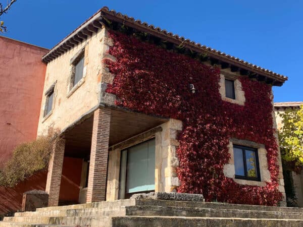 Casa rural en Ciruelos de Cervera (Burgos)-2371