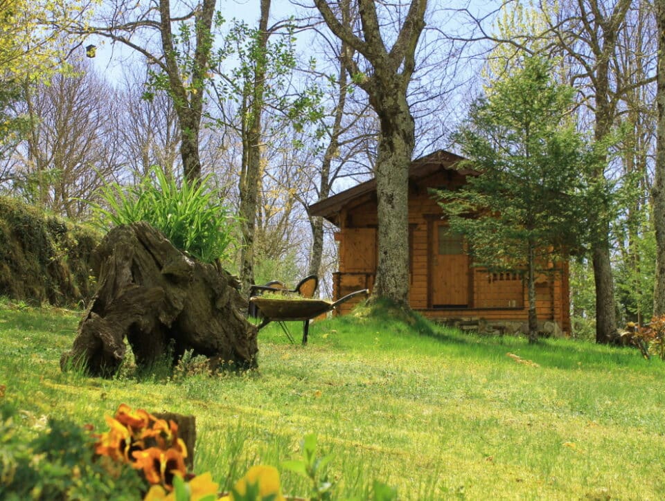 Cabañas de Madera Sanabria - Imagen 34