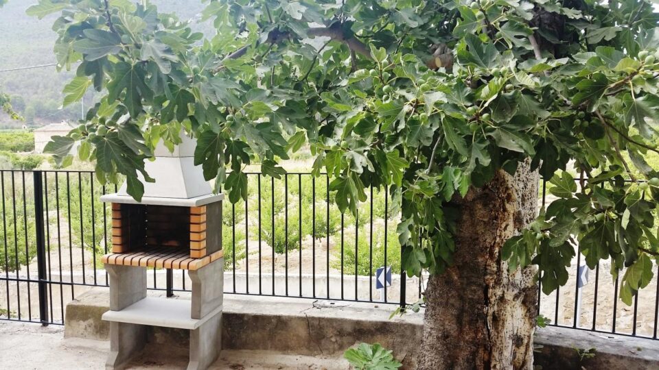 Casa de las Golondrinas - Imagen 2