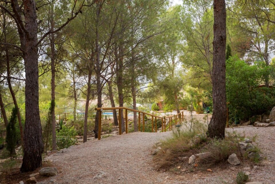 Casas de la Navela - Imagen 15