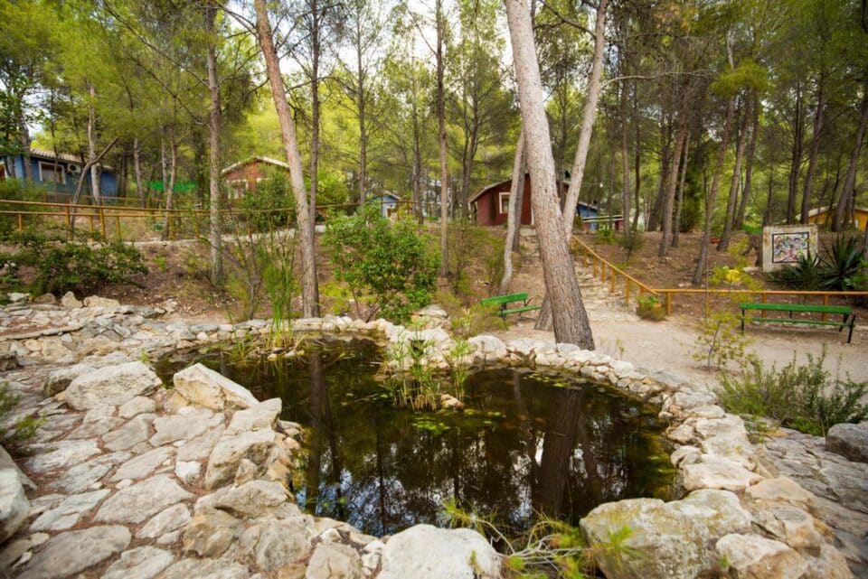 Casas de la Navela - Imagen 28