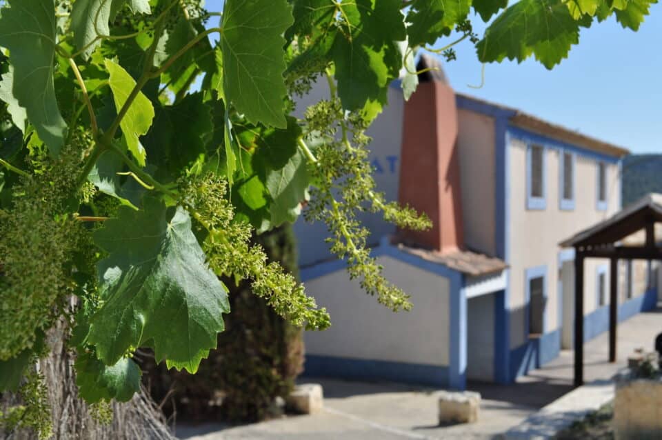 Casas Rurales Luis - Imagen 11
