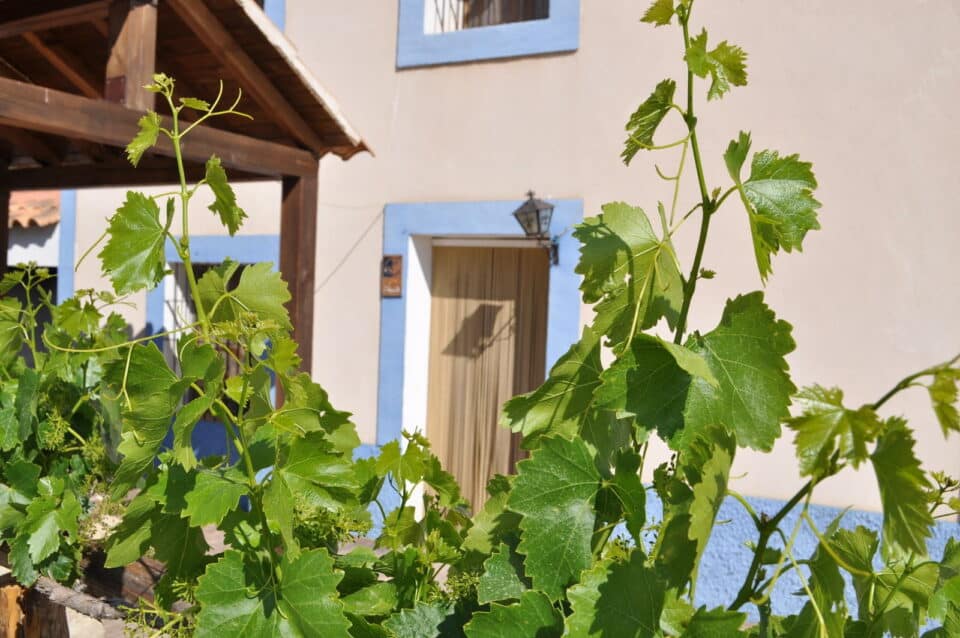 Casas Rurales Luis - Imagen 13