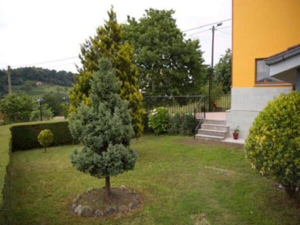 Casa rural en Sevares (Piloña, Asturias)-1869