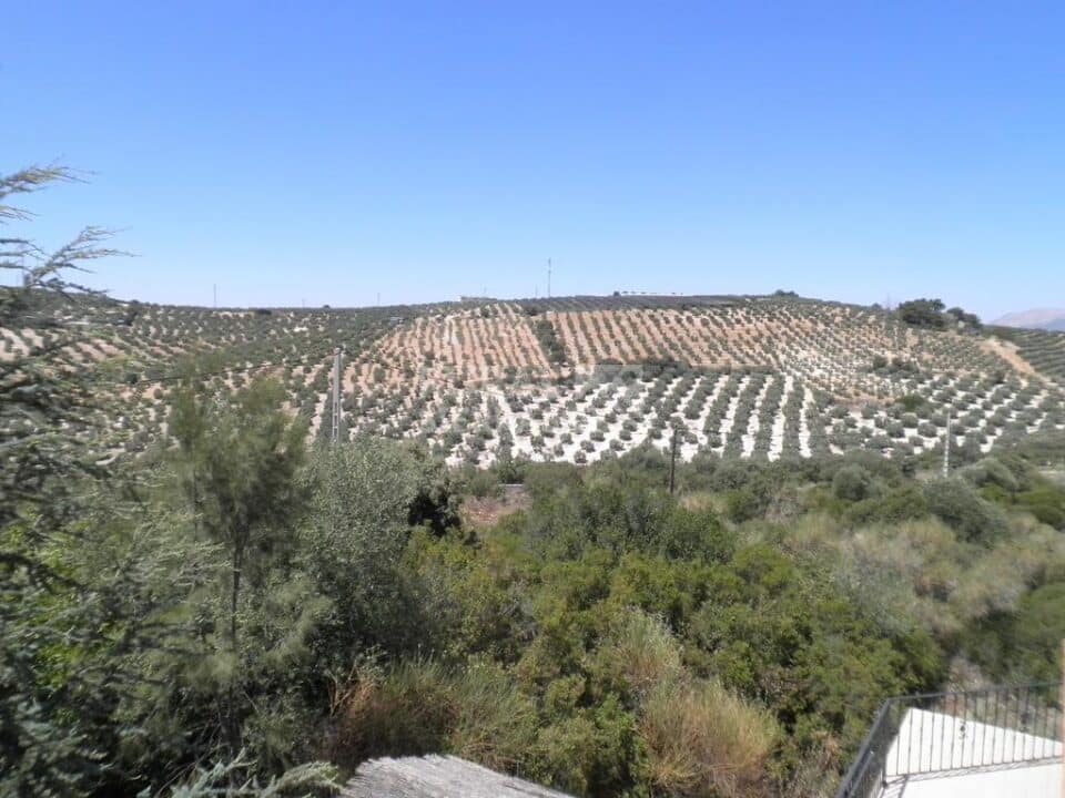 Acogedor Hotel Rural en Lucena - Imagen 31