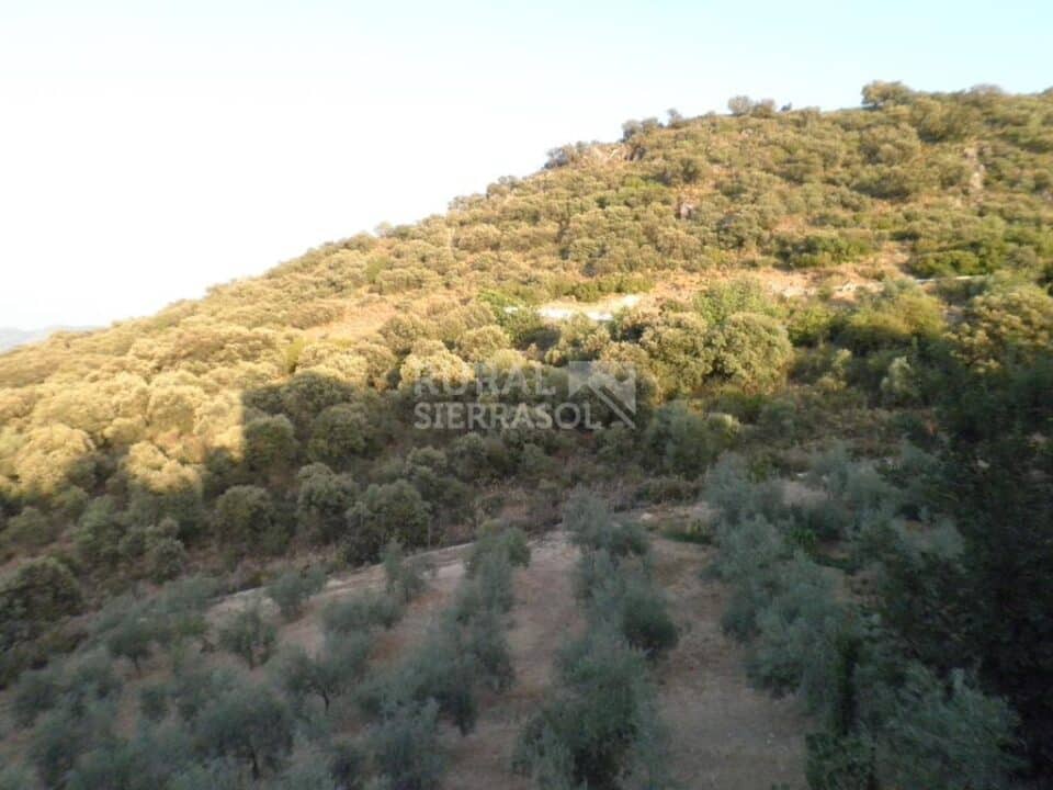 Acogedor Hotel Rural en Lucena - Imagen 32