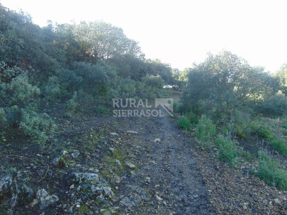 Acogedor Hotel Rural en Lucena - Imagen 33