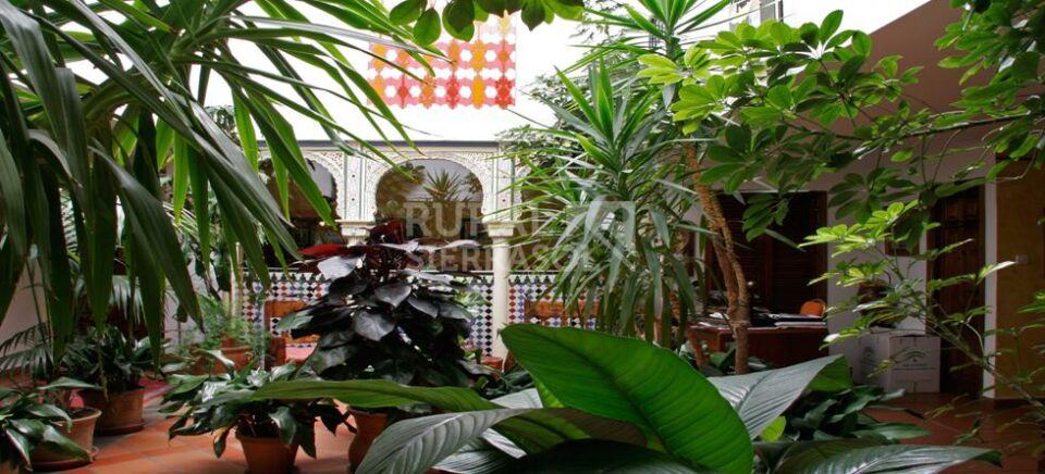 Hermoso Hotel Rural en Mecina Fondales - Imagen 4