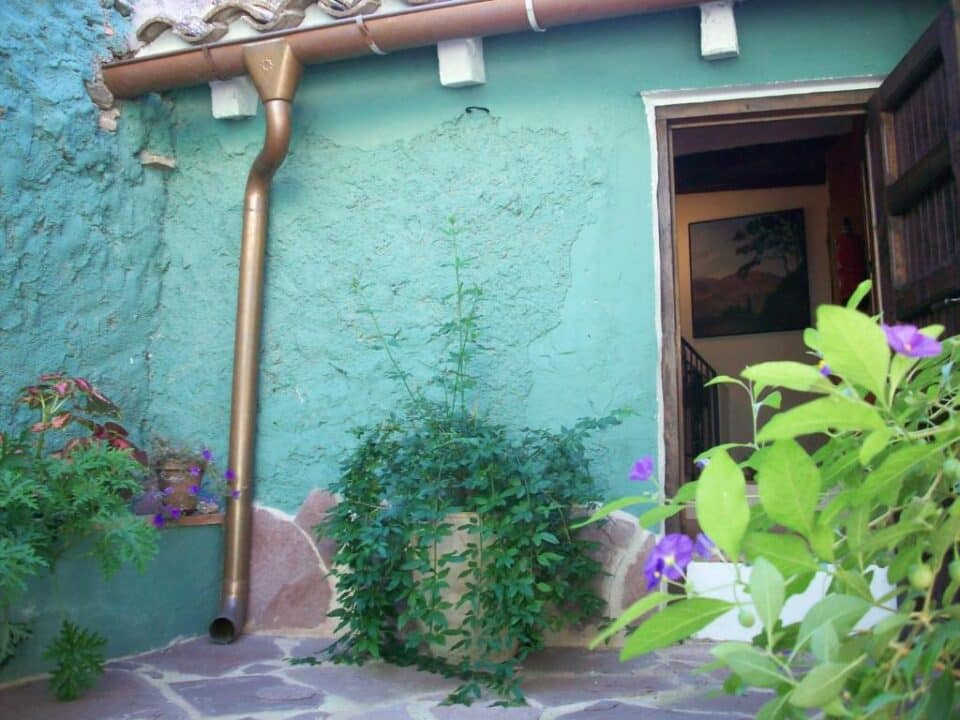 El Patio de Las Cebollas - Imagen 17